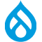 hire drupal developers